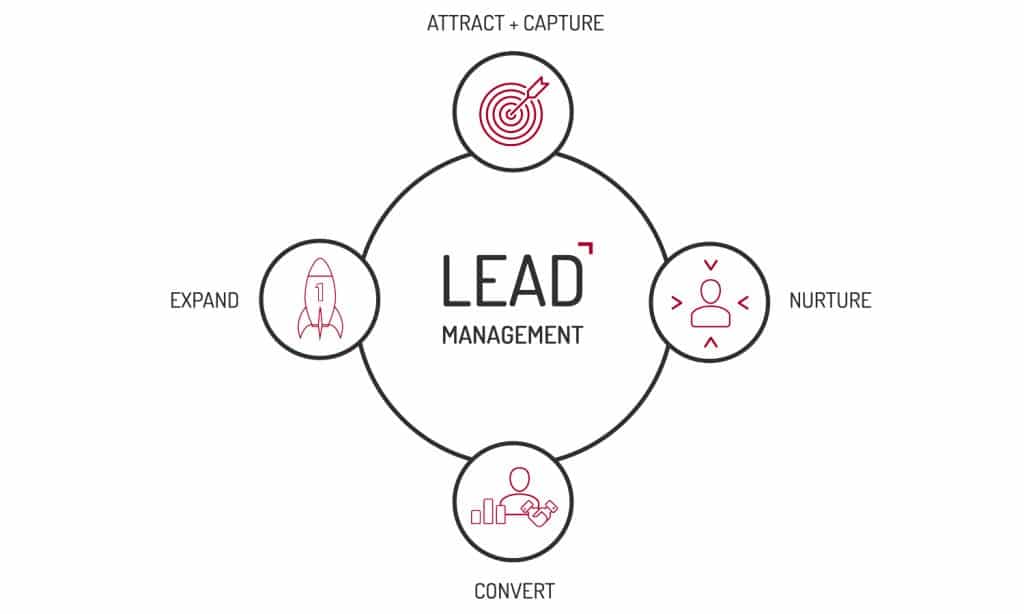 Lead management